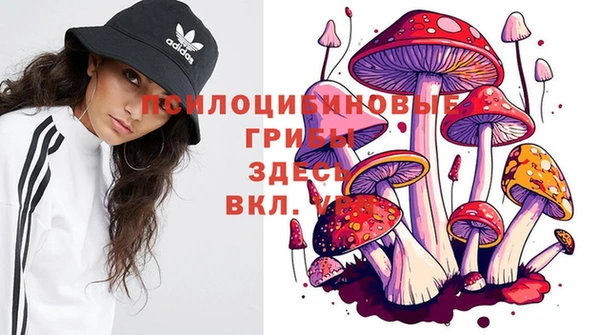 а пвп мука Армянск