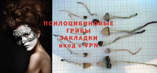 ГАЛЛЮЦИНОГЕННЫЕ ГРИБЫ Аркадак