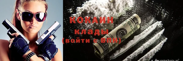 ГАЛЛЮЦИНОГЕННЫЕ ГРИБЫ Аркадак
