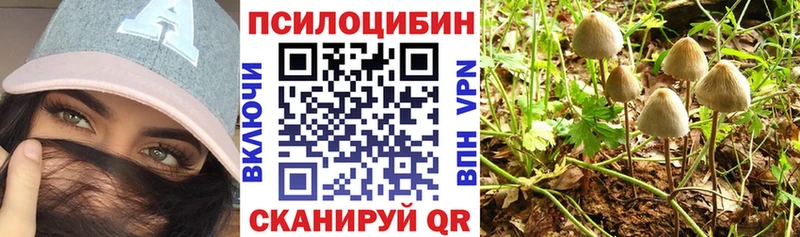 мориарти формула  Углич  Псилоцибиновые грибы Psilocybe 